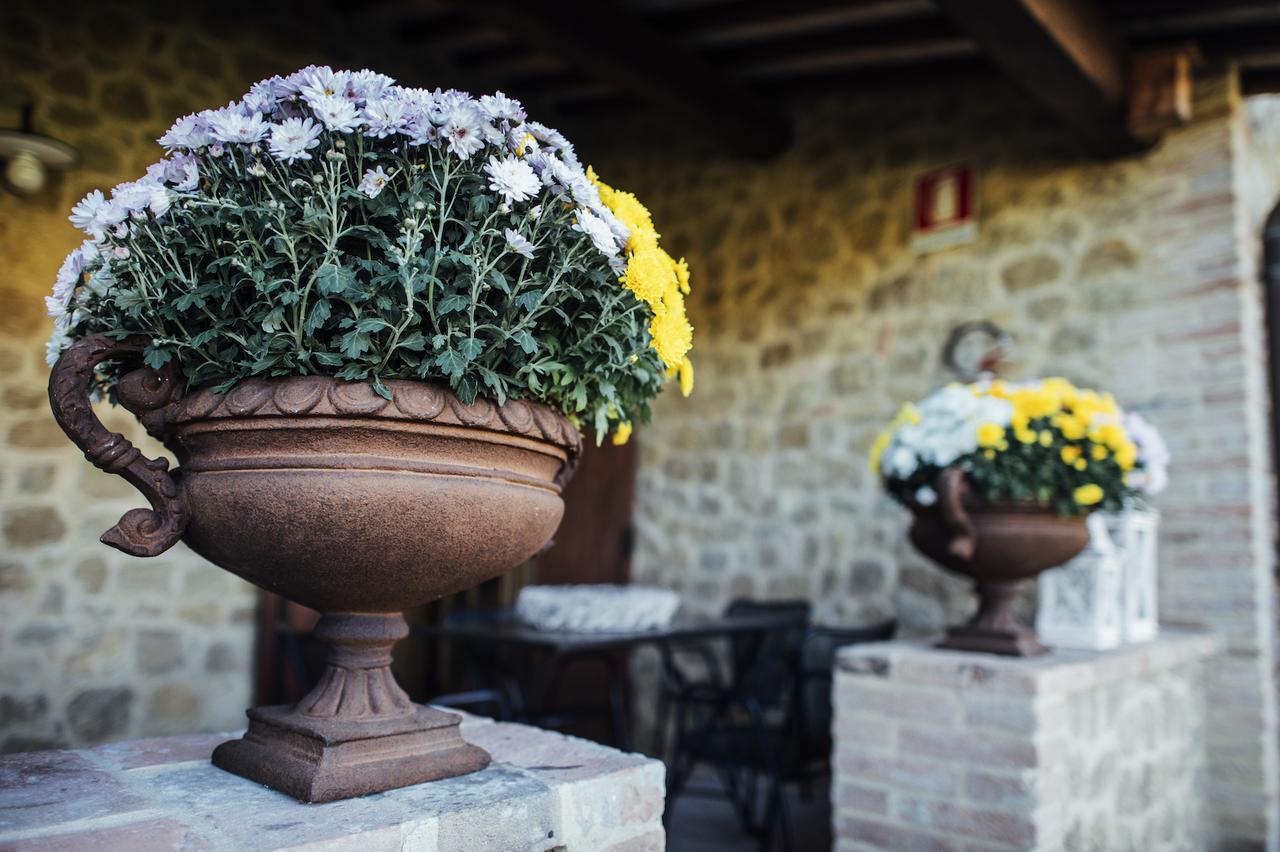 Borgo Del Faggio Apartment Montepulciano Stazione Exterior foto